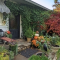 Front step decorated for fall Image 1