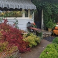 Front step decorated for fall Image 2