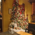 Christmas at Rosehill Image 1