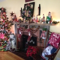 CHRISTMAS 2012 Image 2