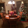 My House at Christmas 2013 Image 1