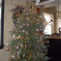 Our Christmas Tree 2013 Image 1