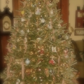 oh christmas tree Image 7
