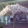 Summer porch Image 5