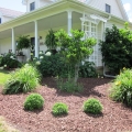 Summer Back Porch and Front Porch Image 4