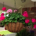 Porches Image 5
