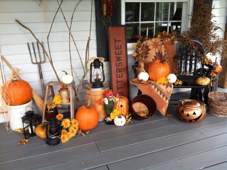 fall has arrived Main Image
