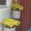 Autumn Porch in Indiana Image 4