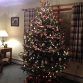 Christmas in ct. Image 5