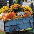 Fall in Love with Outdoor Spaces Preview