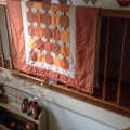 Pumpkin quilt Preview