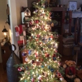 Christmas at Home Image 1
